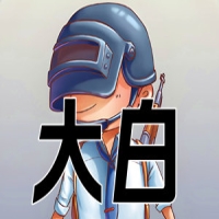 PUBG大白辅助-无脑开启轻松过玄武磐石