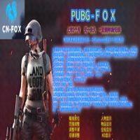 绝地求生FOX内部辅助详细功能原理分解